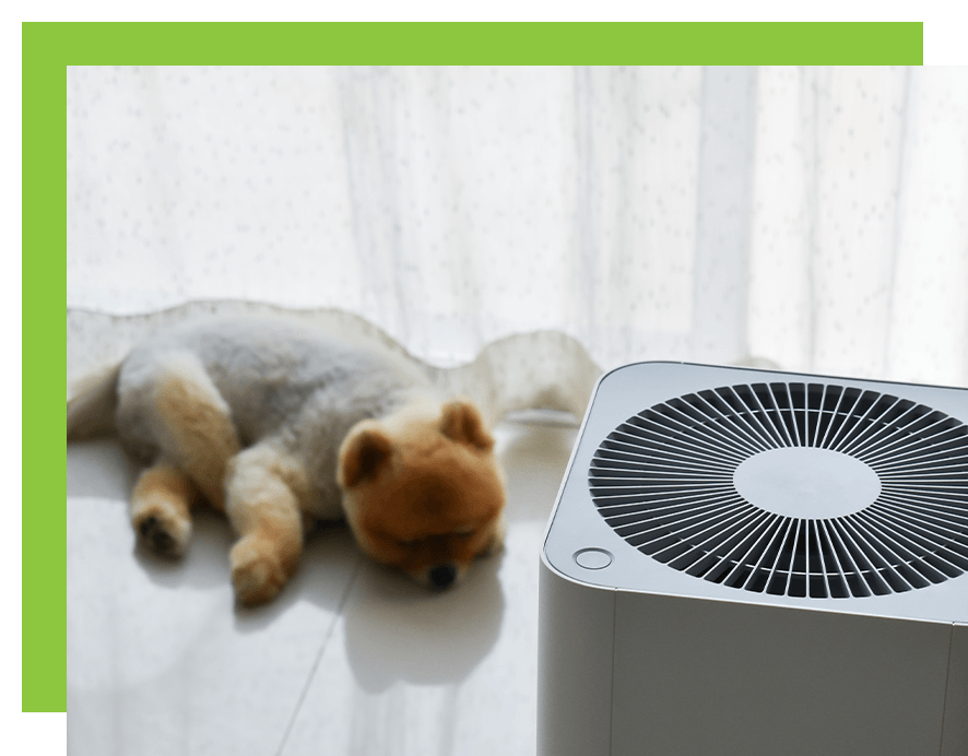Image of an air filter from Frank Cullen Inc.